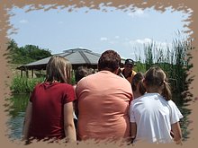 dscf8608.jpg