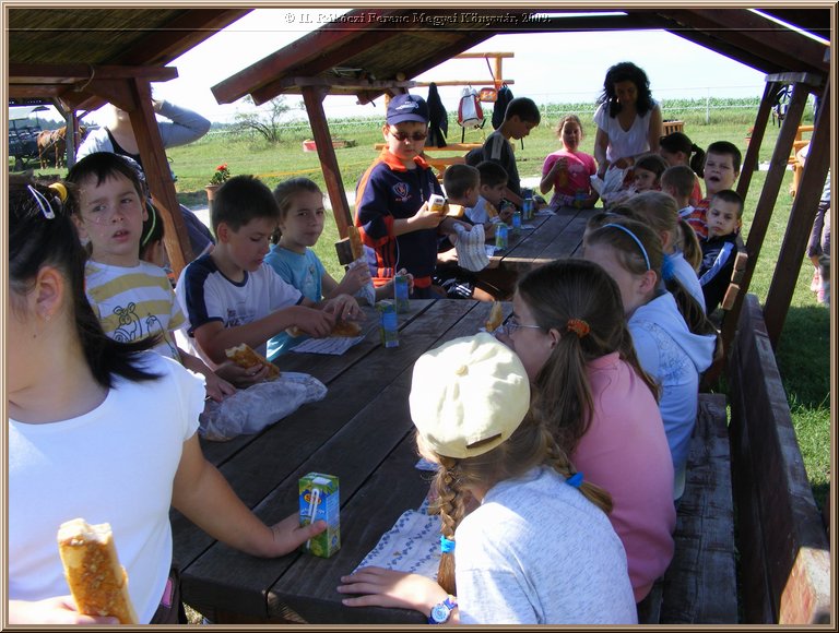 kep_ 127.jpg