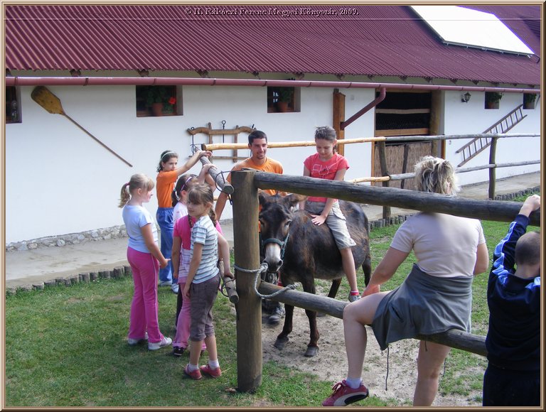 kep_ 154.jpg