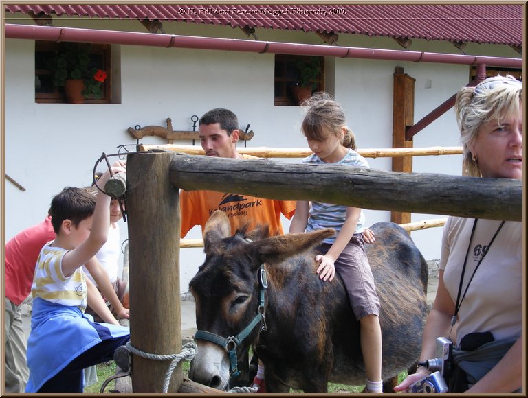 kep_ 161.jpg
