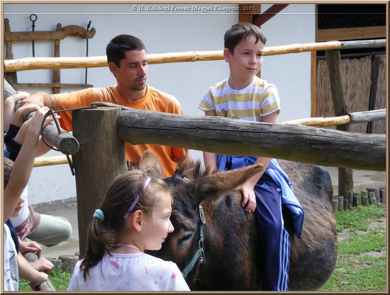 kep_ 163.jpg