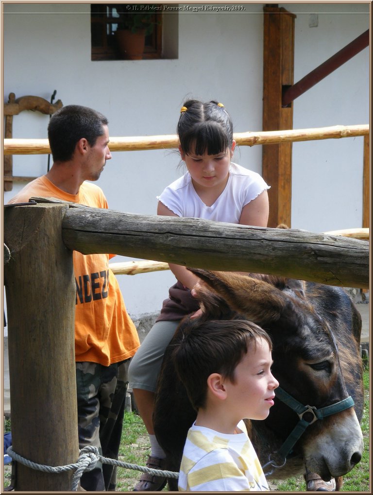 kep_ 168.jpg