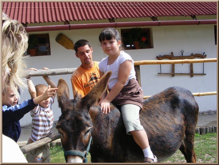 kep_ 169.jpg