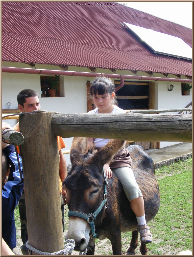 kep_ 171.jpg