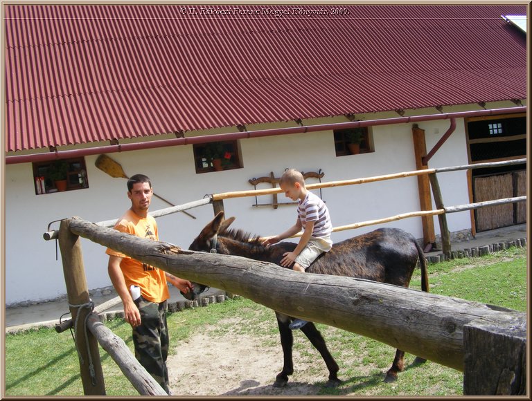 kep_ 172.jpg