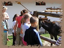 kep_ 144.jpg