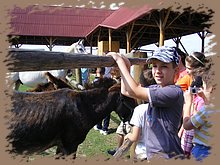 kep_ 145.jpg