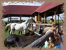 kep_ 146.jpg