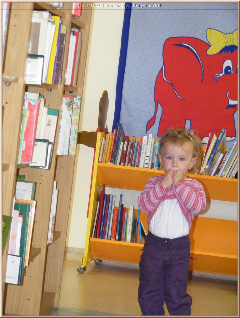 dscf3603.jpg