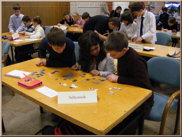 dscf4172.jpg