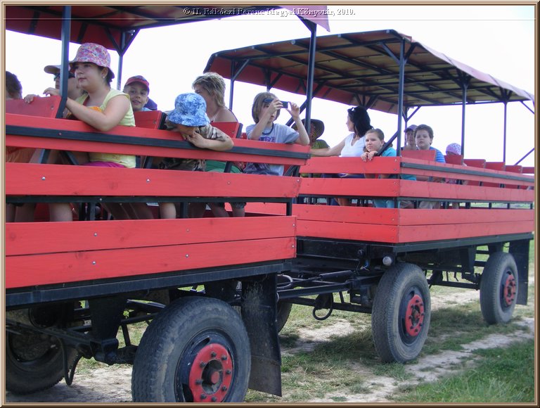 kep_ 124.jpg