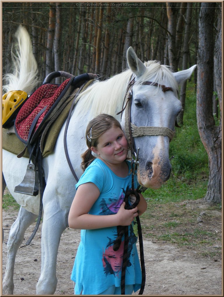 kep_ 361.jpg