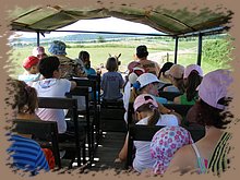 kep_ 235.jpg