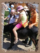 kep_ 267.jpg