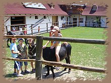kep_ 278.jpg
