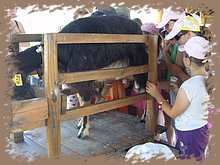 kep_ 284.jpg