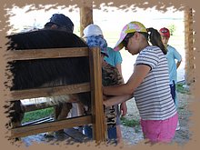 kep_ 292.jpg