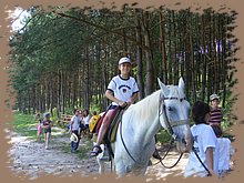 kep_ 326.jpg