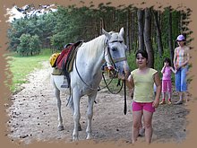 kep_ 362.jpg