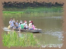 kep_ 379.jpg