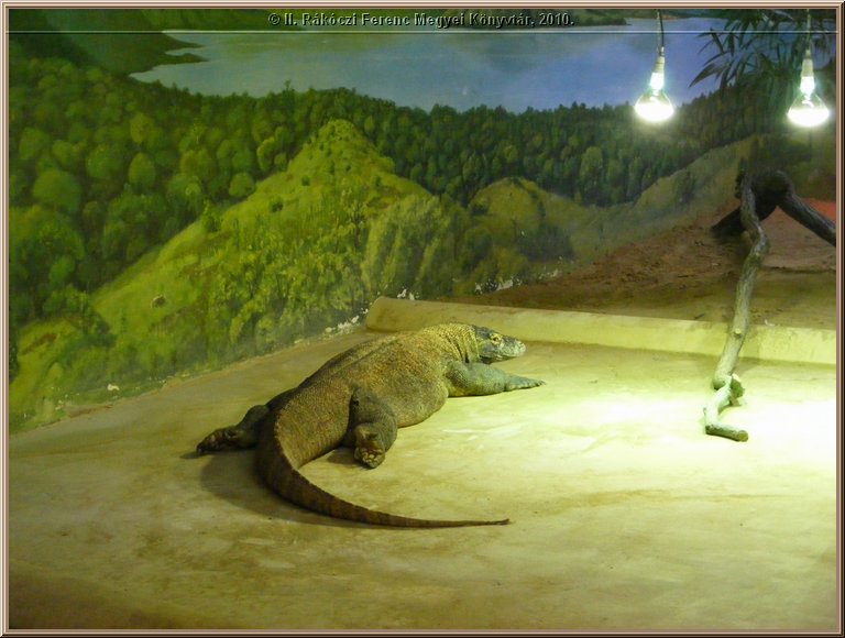 dscf4702.jpg