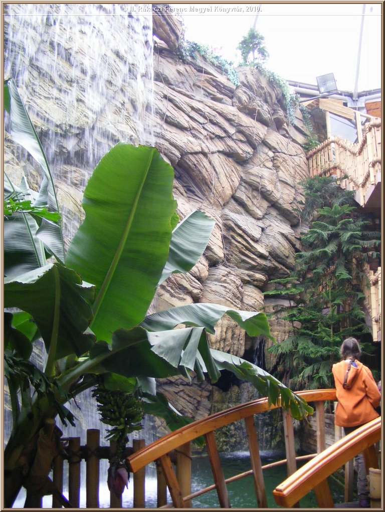 dscf4709.jpg