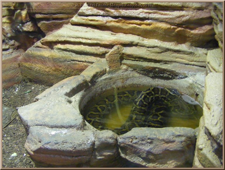 dscf4713.jpg
