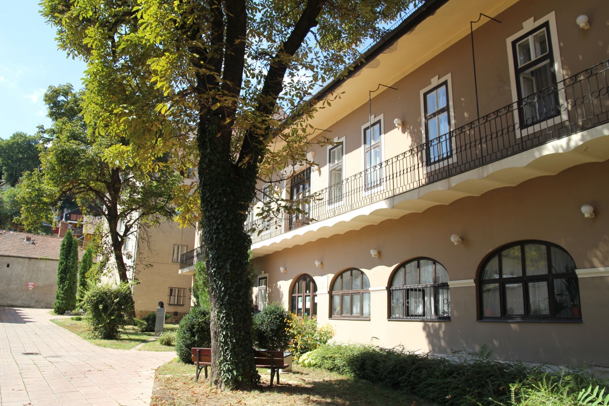 Levay Yozsef Library
